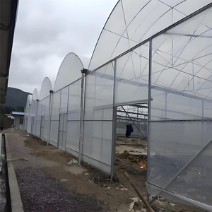 Hot Selling Multi-Span Landwirtschaft liches Gewächshaus PE Kunststoff Tertilien Gewächshaus für Tomaten Obst/Gemüse Pflanzen Aluminium rahmen - Product Image 2