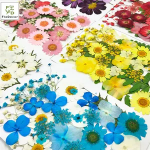 핫 세일 혼합 여러 수제 다채로운 모듬 도매 DIY 꽃꽂이 진짜 자연 말린 누르면 꽃