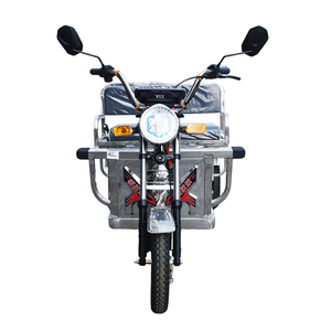 1.1m Acier Inoxydable Tricycle Électrique Tricycle Motorisé Tricycle Électrique Cargotricycle - Product Image 1