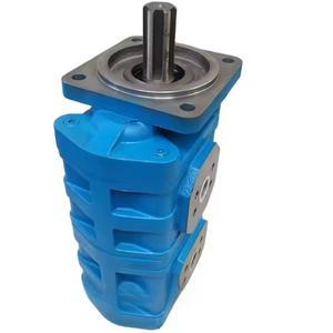 Repuestos Hidráulicos para Cargadora: Bomba Hidráulica de Doble Engranaje con Eje Recto de Hierro Fundido Azul al por Mayor - Product Image 6
