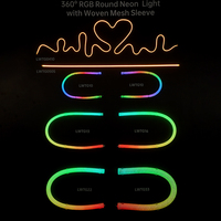 Bande lumineuse LED néon flexible en silicone personnalisée OEM avec diffuseur et indice de protection IP67