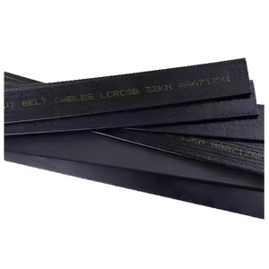 Courroie en acier de traction pour <span class=keywords><strong>ascenseur</strong></span> <span class=keywords><strong>OTIS</strong></span> Gen2, modèles AAA717AM2 AP2 AJ2 X1 W1 AD1, 30mm 60mm, courroie plate en acier enduite de PU pour <span class=keywords><strong>ascenseur</strong></span> - Product Image 2