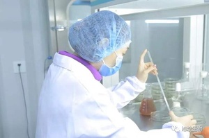 En iyi fiyat siyanokobalamin <span class=keywords><strong>Vitamin</strong></span> <span class=keywords><strong>B12</strong></span> tozu - Product Image 6