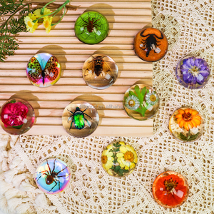 Hojas de plantas personalizadas en espécimen de resina, pisapapeles de cristal transparente para niños, Colección educativa para profesores de ciencias biológicas - Product Image 6