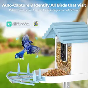 2024 Novo produto para animais de estimação Smart Bird Cabin WiFi AI alimentador de pássaros painel solar com visão noturna alimentador inteligente à prova d'água com câmera