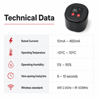EWelink WiFi Smart Phone Controller Watering Valve Manipulator Timer Smart Watering System RF433 2.4G Works Alexa Google