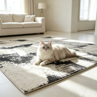 Tapis géométrique noir et blanc, design abstrait, tapis jacquard, revêtement de sol moderne pour la maison et l'hôtel