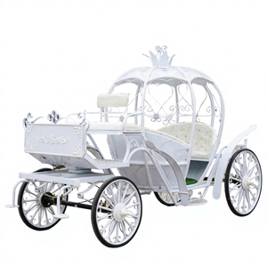 Carruaje de Caballos para Bodas, 6 Plazas, Eléctrico o de Caballos, Totalmente Metálico, Estilo Cenicienta, Carroza de Dulces, Transporte Especial - Product Image 1