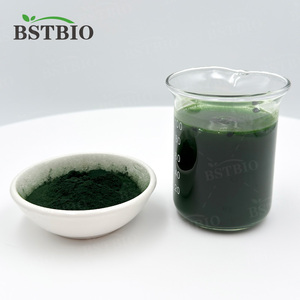 BSTBIO Fournisseur d'usine en gros <span class=keywords><strong>1</strong></span> <span class=keywords><strong>kg</strong></span> 25 <span class=keywords><strong>kg</strong></span> Compléments alimentaires <span class=keywords><strong>Poudre</strong></span> verte de <span class=keywords><strong>spiruline</strong></span> biologique - Product Image 2