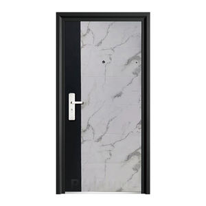 Phipulo Puerta <span class=keywords><strong>de</strong></span> <span class=keywords><strong>acero</strong></span> galvanizado Puerta <span class=keywords><strong>de</strong></span> hierro Acabado <span class=keywords><strong>de</strong></span> recubrimiento en polvo para casa costera Exterior anticorrosión - Product Image 2
