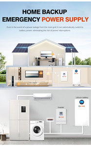 แบตเตอรี่ LiFePO4 10 กิโลวัตต์ชั่วโมง ระบบ ESS โซลาร์เซลล์แบบออลอินวัน ชุดแบตเตอรี่ลิเธียม 51.2 โวลต์ แบตเตอรี่โซลาร์เซลล์ 16 กิโลวัตต์ชั่วโมง พลังงานแสงอาทิตย์ - Product Image 6