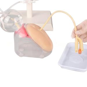 Modèle de formation à la cathétérisme féminin pour la pratique des compétences infirmières avec système de vessie simulé - Product Image 3