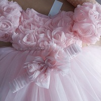 Robe de princesse rose 3D à fleurs, robe tutu pour enfants, tenue de fête d'anniversaire, tenue formelle florale