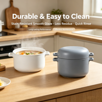 Casserole en céramique européenne classique à double couvercle, idéale pour la mijotée et le riz, antiadhésive pour cuisinière à gaz, ensemble d'ustensiles de cuisson