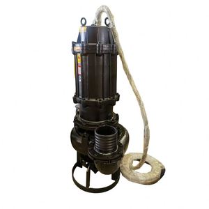 Pompe submersible industrielle durable WQ 380V pour l'aspiration des eaux usées et des boues 220V - Product Image 3