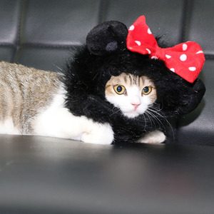 <span class=keywords><strong>Peluca</strong></span> de pelo para mascotas, gatos, leones, pandas, Mickey, <span class=keywords><strong>con</strong></span> diseño de pelaje, para disfraz de <span class=keywords><strong>gato</strong></span>, sombrero, cosplay de <span class=keywords><strong>gato</strong></span>, cachorro - Product Image 5