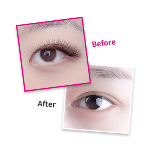 Wholesale LASHMIYA 4DW Matte Black 4D Handmade <strong>Eyelash</strong> <strong>Extensions</strong> Supplies Individuals PBT Fiber Imported German Natural Long - Product Image 3