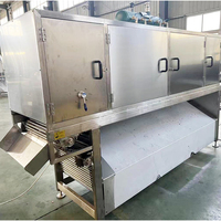 TCA Automatische Industriële Uienschil- en Wortelsnijmachine Aardappel- en Uiensnijmachine Productielijn
