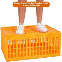 Caisse de transport pour volailles en plastique, cage de transport pour poulets, canards, oies, empilable et ventilée