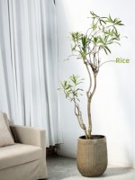 Pot Bunga Minimalis Bergaris Vertikal Tinggi untuk Tanaman Hias seperti Lucky Tree, Lily, Bambu, dan Tanaman Hijau Lainnya