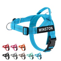 Arnés Personalizado para Perro Veltrio, Ajustable, Antideslizante, Tipo Bandeau, Triangular, Reflectante, con Parche de Nombre Personalizado