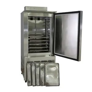 Compact commercial deep blast freezer upright super fast freezing refrigerator