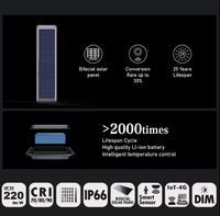 Lampadaire Solaire LED Tout-en-un Haute Luminosité 180LM/W IP65 avec Batterie LiFePO4 Double MPPT et Capteur de Mouvement pour Autoroutes et Routes