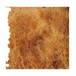 Fibre de noix de coco naturelle de haute qualité pour matelas brosses cordes tapis de culture paillis fibre de coco vente en gros de l'Inde - Product Image 1