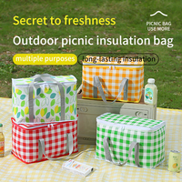 Panier de pique-nique portable d'extérieur en gros, sac isotherme pour déjeuner avec fermeture éclair, sac à glace, boîte à bento
