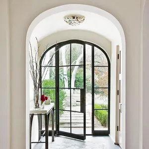 Glass Door With Copper Or Stainless Steel Hardware Fittings Arched Single Door With Side Window House Door Steel Frame Designs