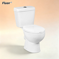 Ensemble WC moderne 2 pièces avec cuvette intégrée, couleur vert nouveau