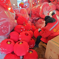 Schlussverkauf schöne Festivallanterne aus Vietnam zu einem guten Preis / Weihnachtslanterne