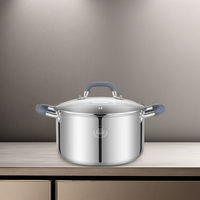 Casserole multifonction en acier inoxydable avec couvercle en verre 20/22/24 cm, marmite à soupe en acier inoxydable avec poignée en silicone