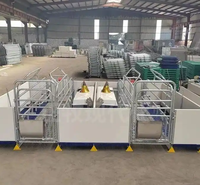 Cage de maternité pour truies de style européen, galvanisée à chaud, réglable, avec panneau en PVC pour ferme porcine moderne