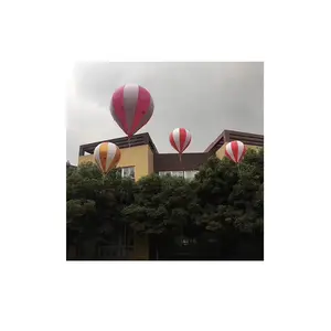 Hava yüzer balon lansmanı sıcak hava balon zeship tek çift toprak PVC büyük karikatür ışık reklam kutlama