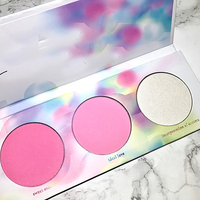 Cosmétiques minéraux en marque privée, vente en gros, maquillage du visage, poudre de blush pour les joues, blush scintillant doux, palette pour peau claire