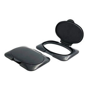 Sản Xuất Nhựa Rỗng Wetly Tissue Holder/Wetly Khăn Lau Hộp, Wetly Lau Container PP - Product Image 6