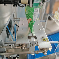 Auto Weighing Granular Bag Packaging Machine PLC Touch Screen for Snack Sugar Peanut Pouch Packing