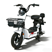 Vélo électrique de ville 48V 350W, pneu de 14 pouces, batterie au plomb-acide, assistance au pédalage, trottinette électrique avec grand panier