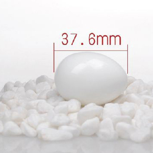Suministros postales para palomas, productos relacionados con palomas, huevos de Paloma realistas, huevos artificiales de plástico sólido de alta calidad para incubación - Product Image 3