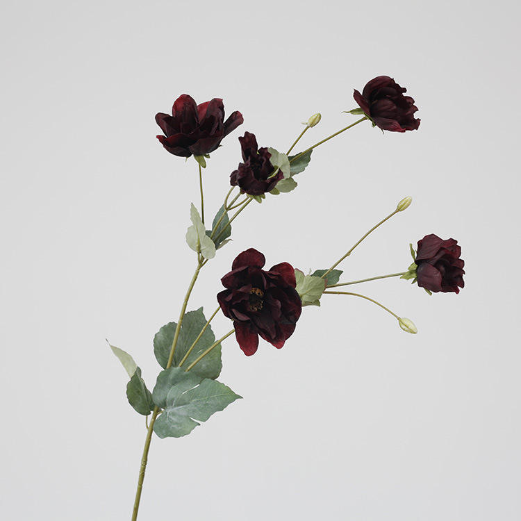 มณฑลเบอร์กันดี