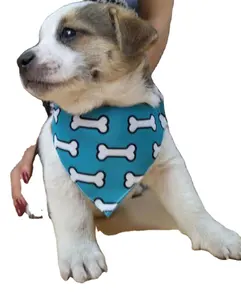 Hunde katze Bandana, wasch bares tägliches Taschentuch Bequeme Geschenke, verstellbares Haustier Bandana