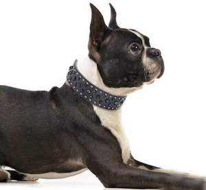 Individuell gestaltbares 2 Zoll breites Lederhalsband mit Spikes und Nieten für große Hunde - Product Image 5