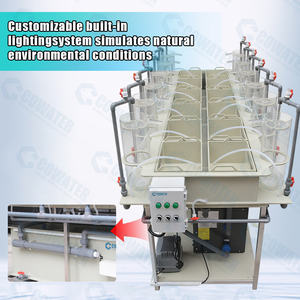 Sistema de Incubadora de Ovos Cowater em PP de Grau Alimentício Durável, Modelo CW-FH-05 para Operações de Criação de Peixes em Pequena Escala - Product Image 4