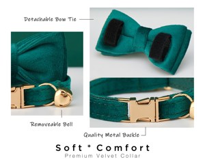 Veet bơ Teal cá nhân mèo cổ áo BOW TIE Dây Xích thiết lập, tùy chỉnh Kitten Puppy name tag, chuông vàng miễn phí, Con Chó Nhỏ khắc vật nuôi - Product Image 5