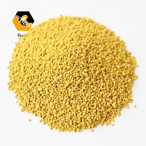 Wholesale Bulk New Fresh Organic Bee Pollen Lotus / Rape / Buckwheat / Tea / Sunflower / Corn / Pine / Camellia Pollen for Sale