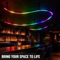 Bande LED néon flexible à 360 degrés, noir et blanc, IP67, silicone, DMX RGB/RGBW, programmable, lumière néon pleine couleur
