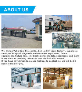 Высококачественная медицинская модель анатомии для развития органов и сосудов со склеротическими функциями для обучения медсестер - Product Image 6