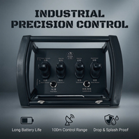 Control Remoto Inalámbrico de 4 Vías DLK para Grúa Montada en Camión con Motor Hidráulico, Indicador LED, Alcance de 500m, 4 Botones, Batería AAA