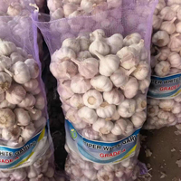 Ail blanc normal du Shandong, Chine, norme UE, nouvelle récolte, frais, fournisseur en gros à vendre sur ALIBABA